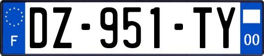 DZ-951-TY