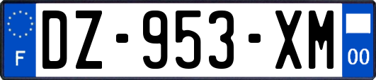 DZ-953-XM