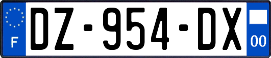 DZ-954-DX