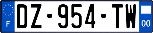 DZ-954-TW