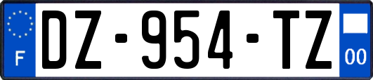 DZ-954-TZ