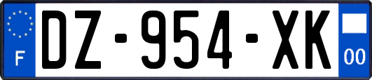 DZ-954-XK