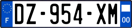 DZ-954-XM