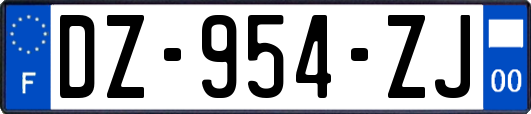 DZ-954-ZJ