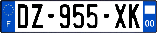 DZ-955-XK