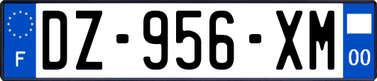 DZ-956-XM