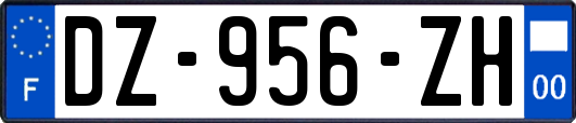 DZ-956-ZH