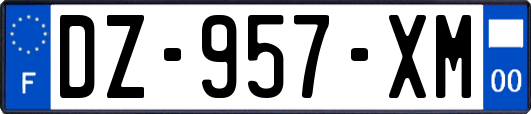 DZ-957-XM