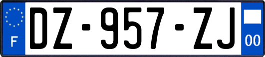 DZ-957-ZJ