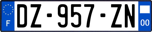 DZ-957-ZN