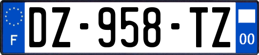 DZ-958-TZ