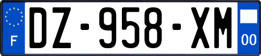 DZ-958-XM