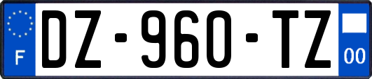 DZ-960-TZ