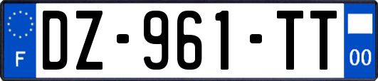 DZ-961-TT