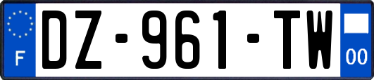 DZ-961-TW