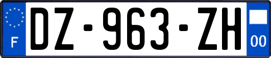 DZ-963-ZH