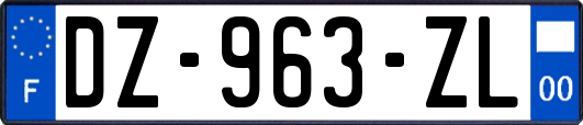 DZ-963-ZL