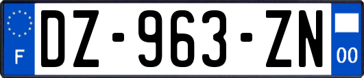 DZ-963-ZN