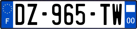 DZ-965-TW