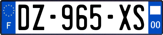 DZ-965-XS