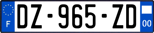 DZ-965-ZD