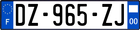 DZ-965-ZJ