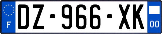 DZ-966-XK