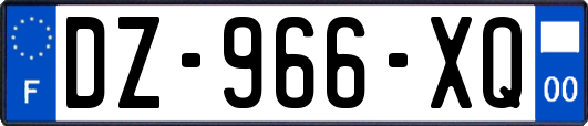 DZ-966-XQ