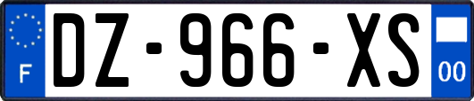 DZ-966-XS