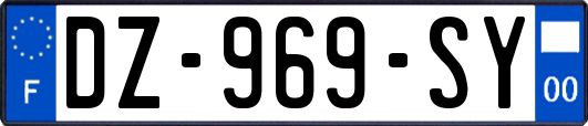 DZ-969-SY