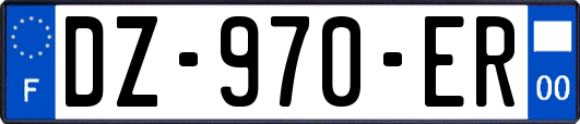 DZ-970-ER