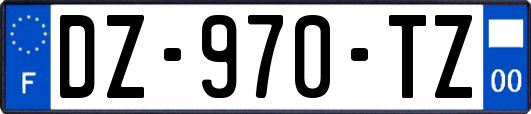 DZ-970-TZ