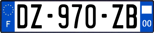 DZ-970-ZB