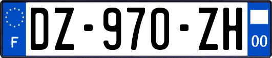 DZ-970-ZH