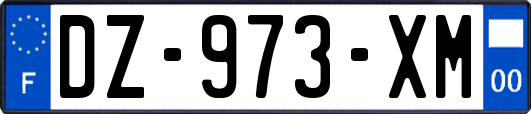 DZ-973-XM