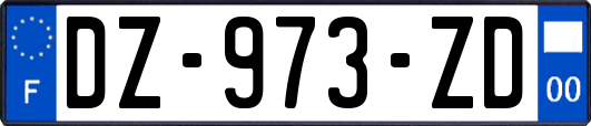 DZ-973-ZD