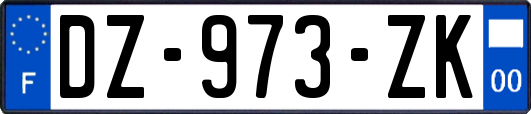 DZ-973-ZK