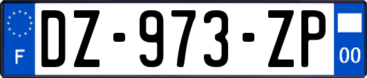 DZ-973-ZP