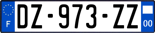 DZ-973-ZZ