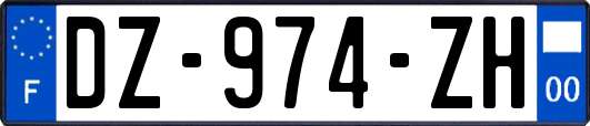 DZ-974-ZH