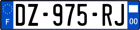 DZ-975-RJ