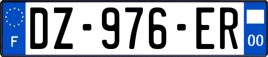 DZ-976-ER