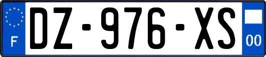 DZ-976-XS