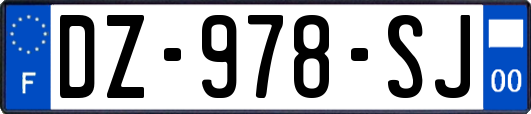 DZ-978-SJ