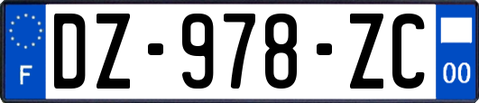 DZ-978-ZC