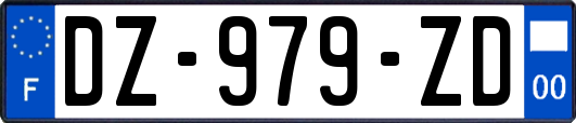 DZ-979-ZD