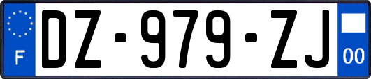 DZ-979-ZJ