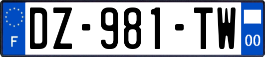 DZ-981-TW