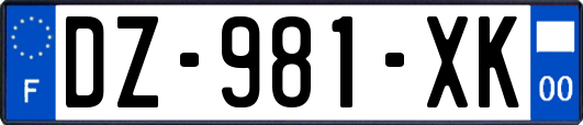 DZ-981-XK