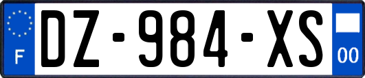 DZ-984-XS